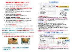 2025年4月のお買い得チラシ